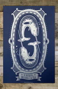Narwhal - Unicorn of the Sea Poster