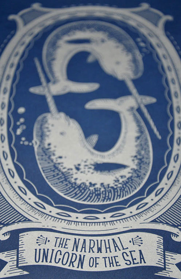 Narwhal - Unicorn of the Sea Poster