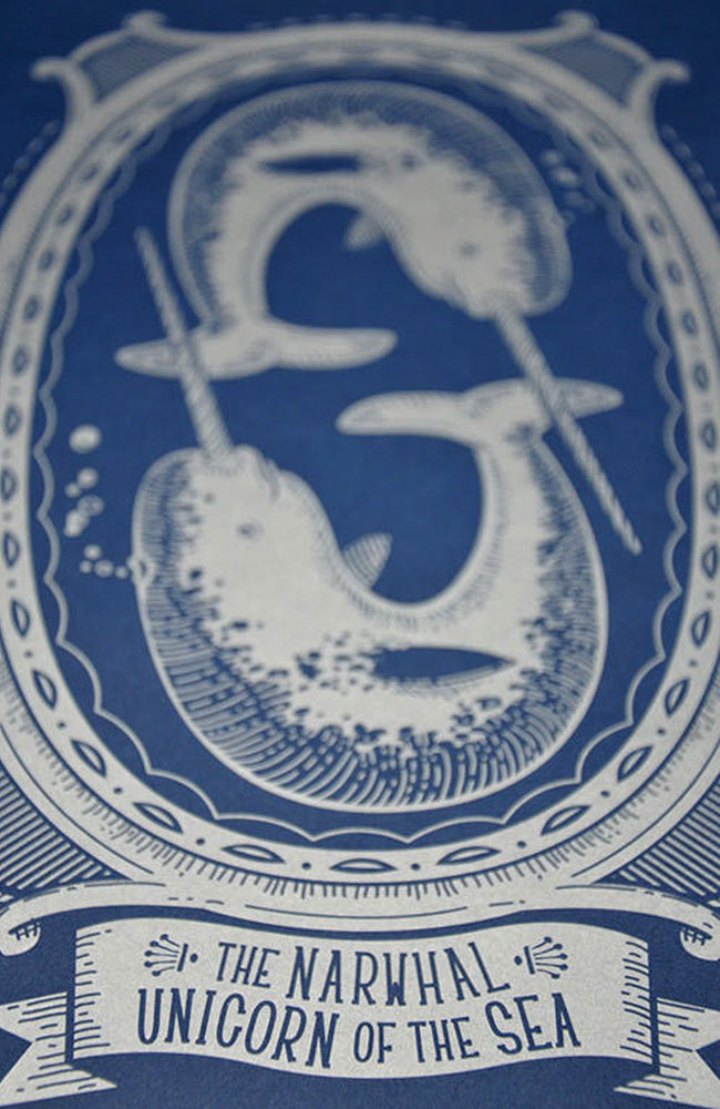 Narwhal - Unicorn of the Sea Poster